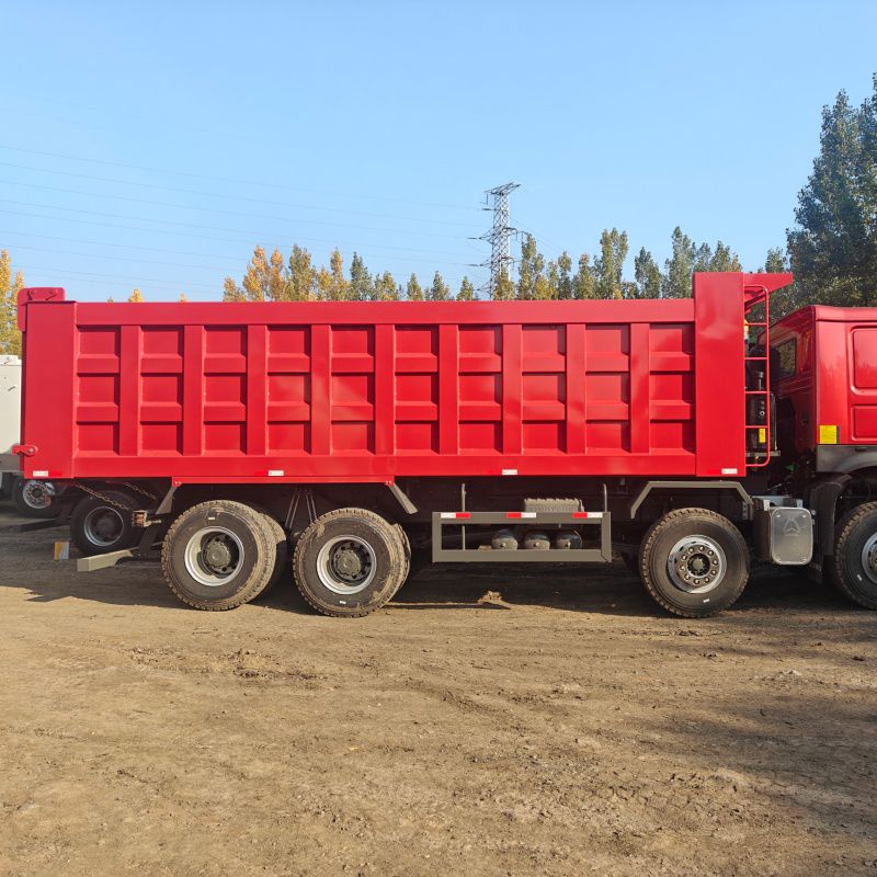  HOWO Tipper Truck with cargo