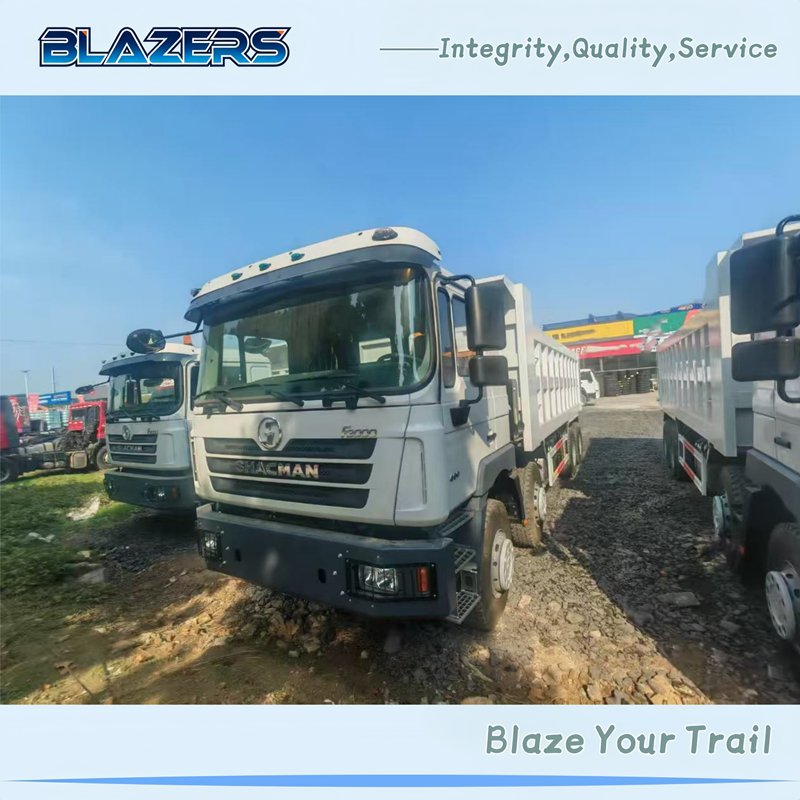 SHACMAN F3000 12 Wheels 8X4 380HP Tipper Truck For Guyana