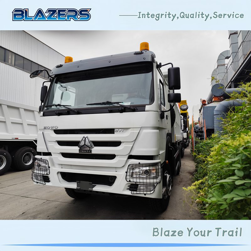 Cost-effective SINOTRUK HOWO 10 Wheels 371HP Tipping Truck For Benin